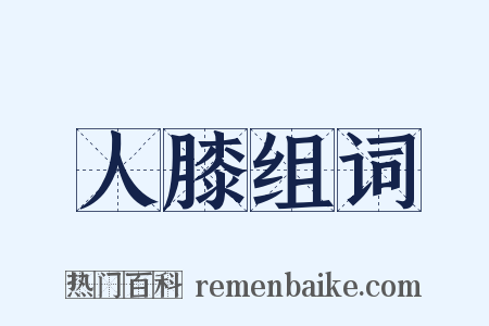 人膝组词是什么意思的图片